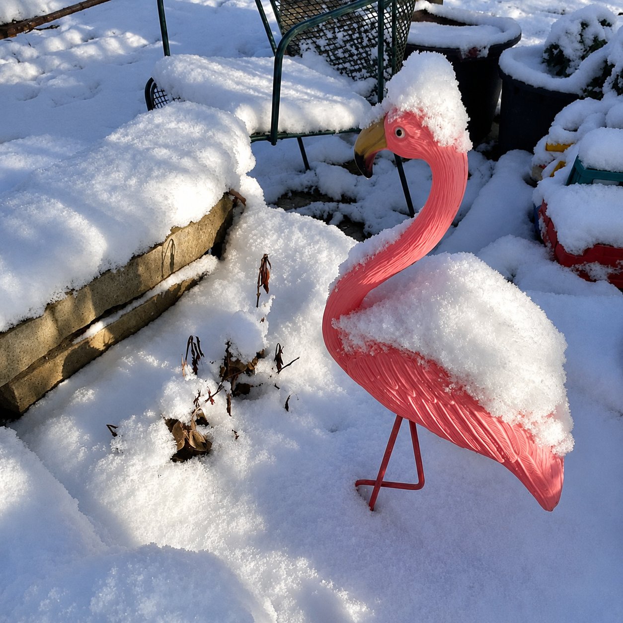 Schneebedeckte Hecken mit historischen Laternen